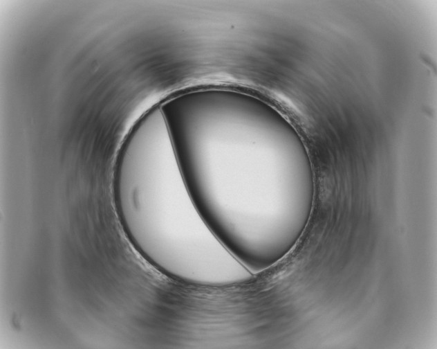 X0000094231326200710261006