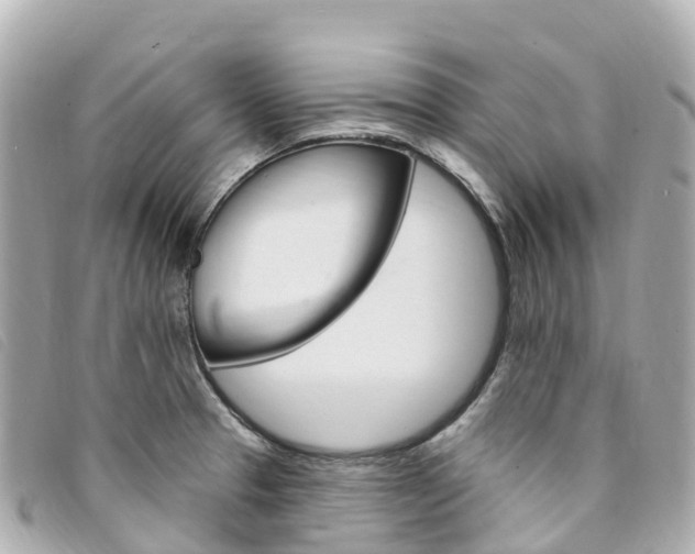 X0000094231329200710261006