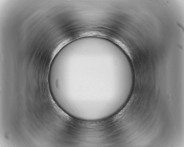 X0000094231330200710261006