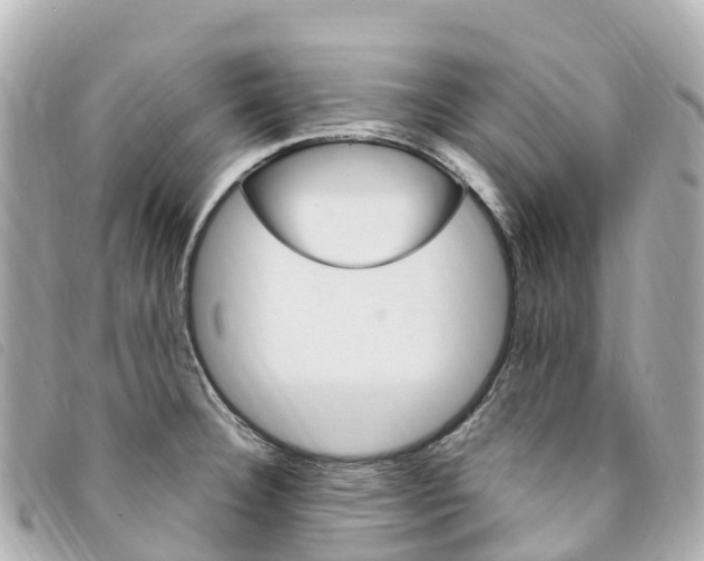 X0000094231332200710261006