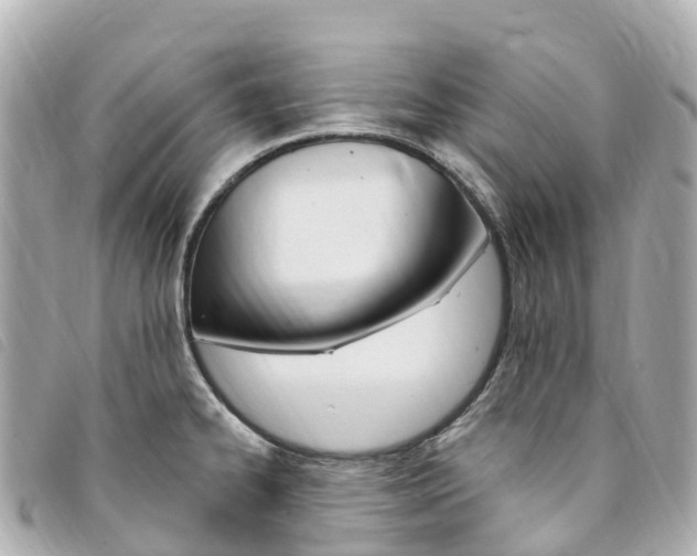 X0000094231334200710261006