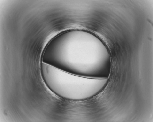 X0000094231335200710261006