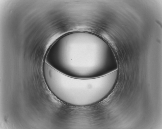 X0000094231336200710261006