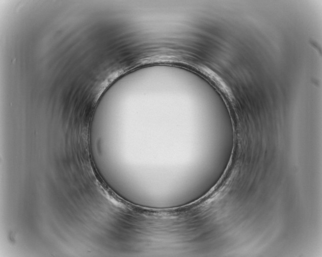 X0000094231337200710261006