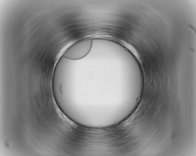 X0000094231338200710261006
