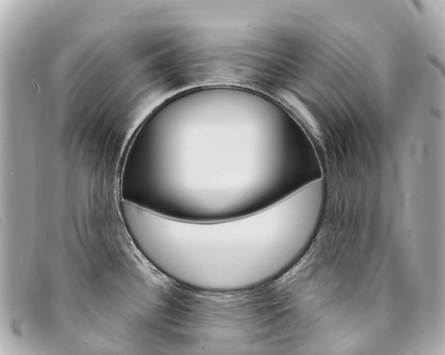X0000094231340200710261006