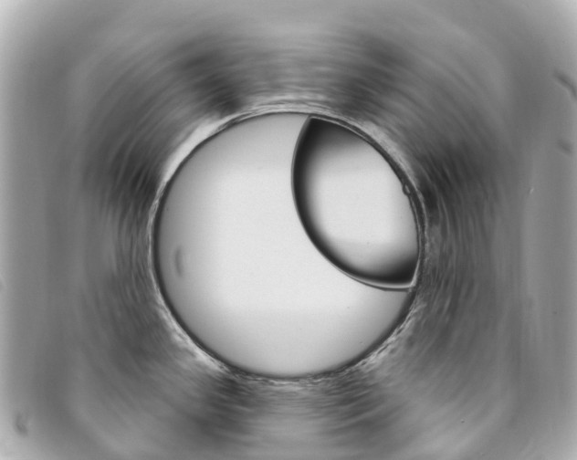 X0000094231341200710261006