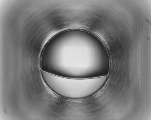 X0000094231342200710261006
