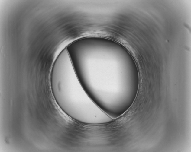 X0000094231344200710261006