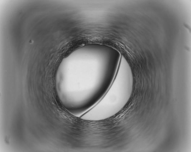 X0000094231345200710261005