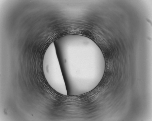 X0000094231346200710261005