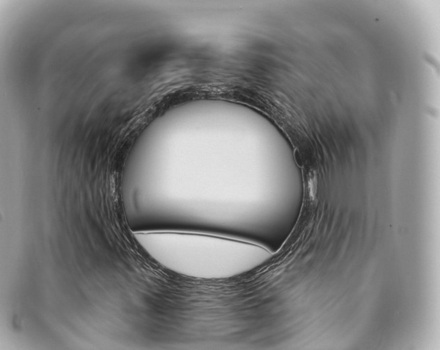 X0000094231347200710261005