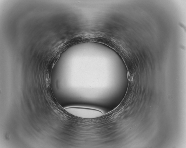 X0000094231348200710261005