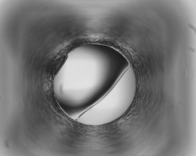 X0000094231349200710261005