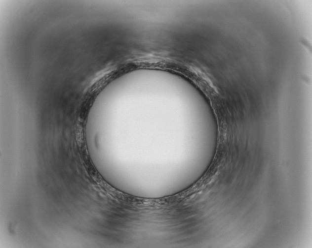 X0000094231350200710261005