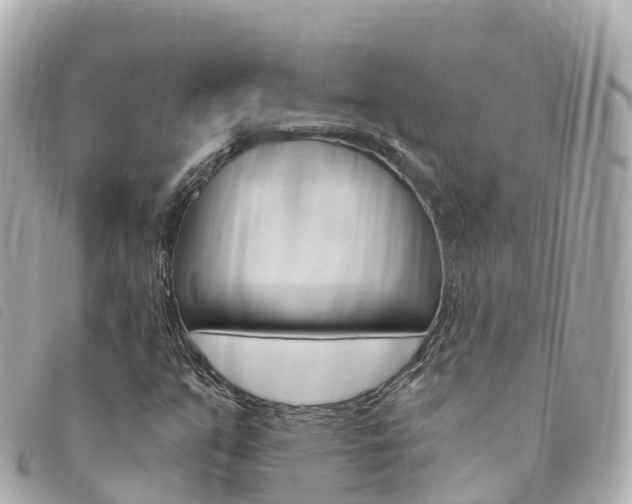 X0000094231351200710261005