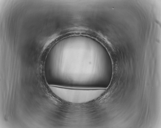 X0000094231352200710261005