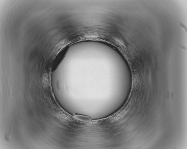 X0000094231353200710261005
