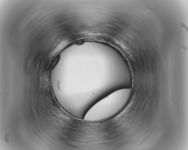 X0000094231354200710261005