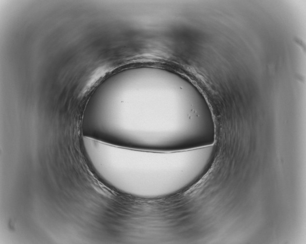 X0000094231355200710261005