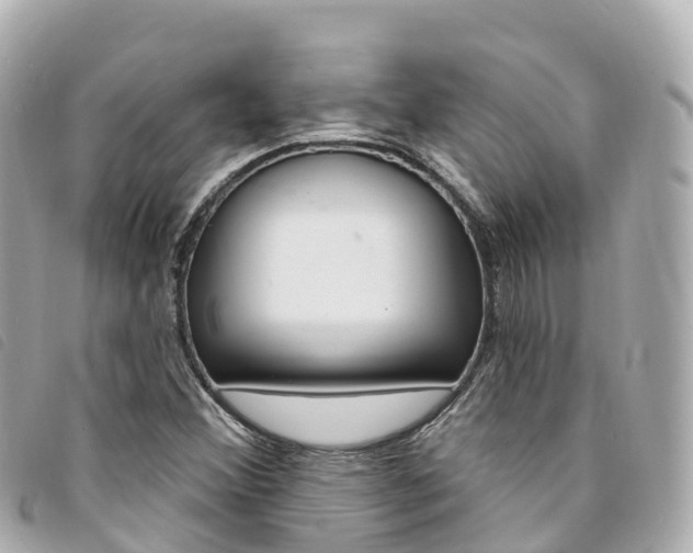 X0000094231356200710261005