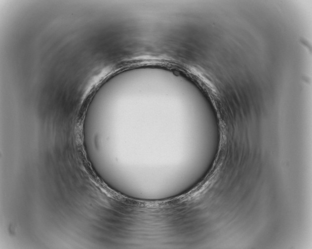 X0000094231357200710261005
