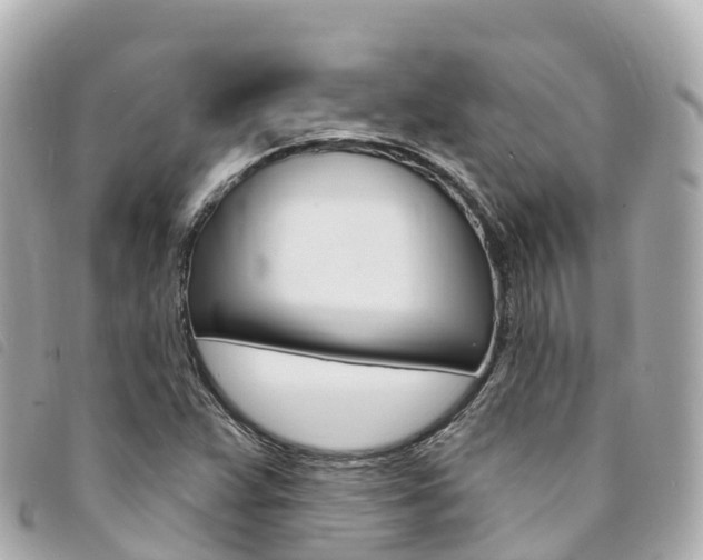 X0000094231359200710261005