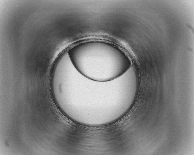 X0000094231360200710261005