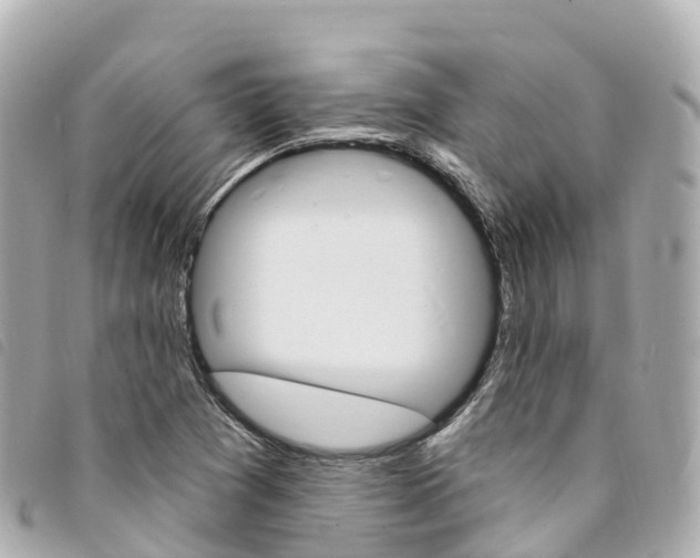X0000094231361200710261005
