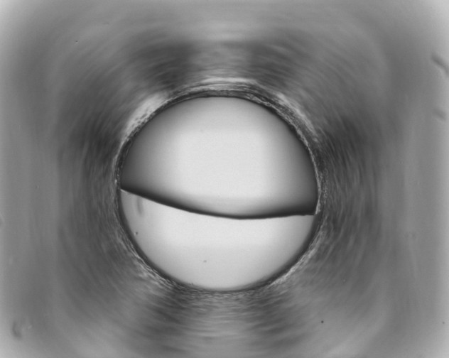 X0000094231362200710261005