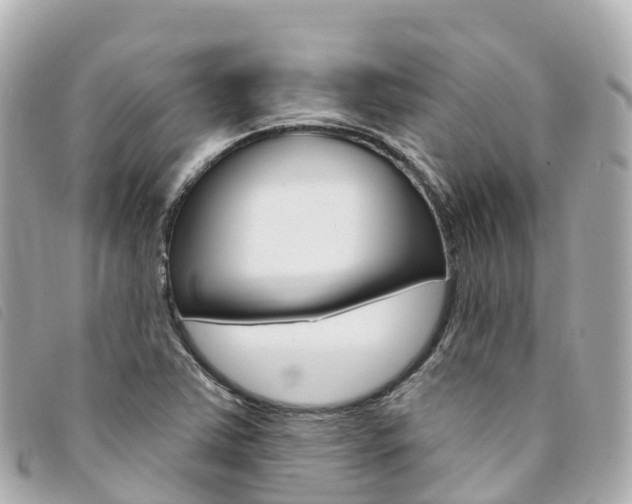 X0000094231363200710261005