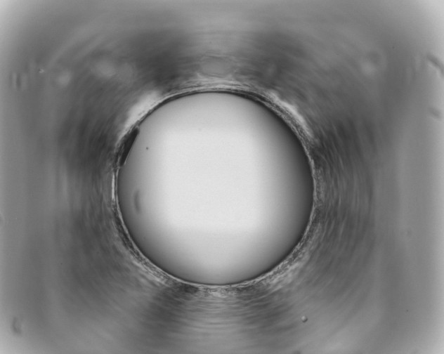 X0000094231365200710261005