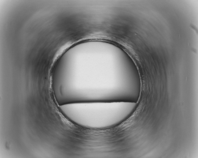 X0000094231366200710261005
