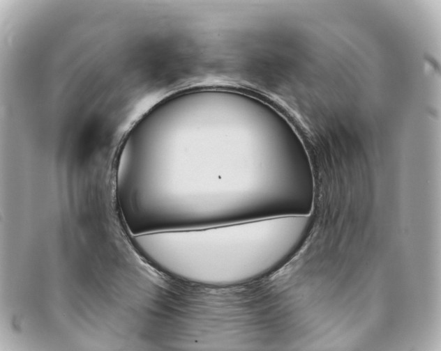 X0000094231367200710261005