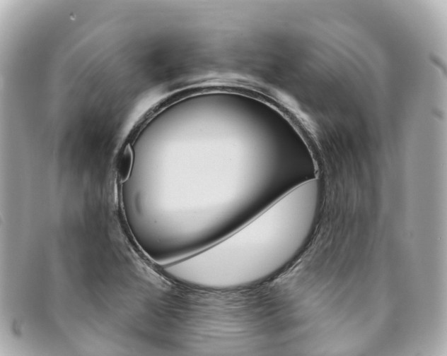 X0000094231368200710261005