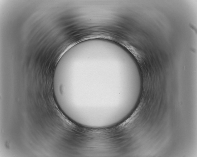 X0000094231369200710261005