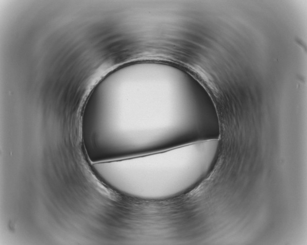 X0000094231371200710261005