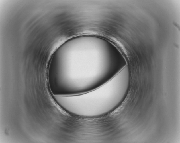X0000094231373200710261005