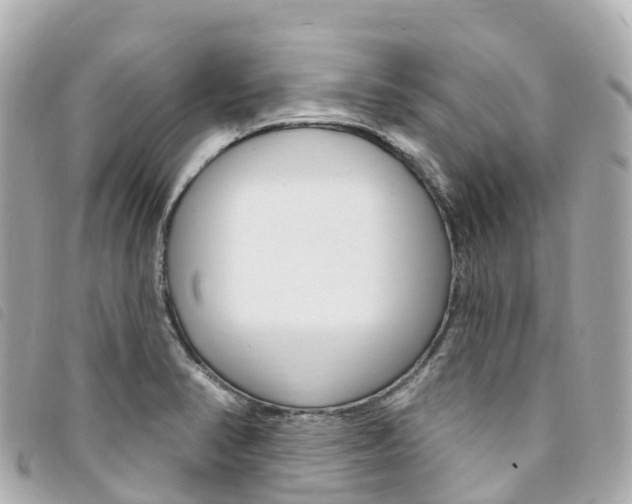 X0000094231374200710261005