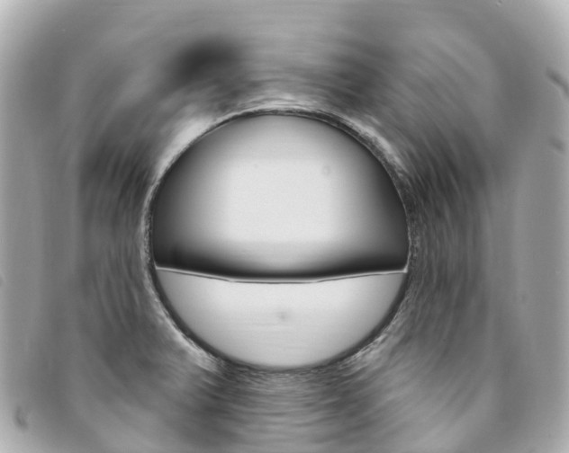 X0000094231375200710261005