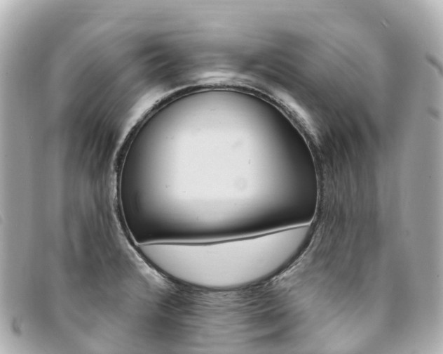 X0000094231376200710261005