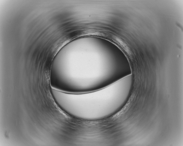 X0000094231377200710261005