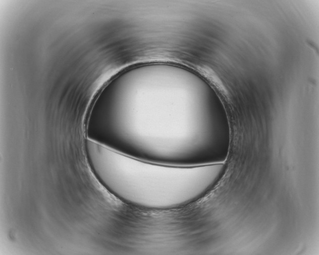 X0000094231380200710261005