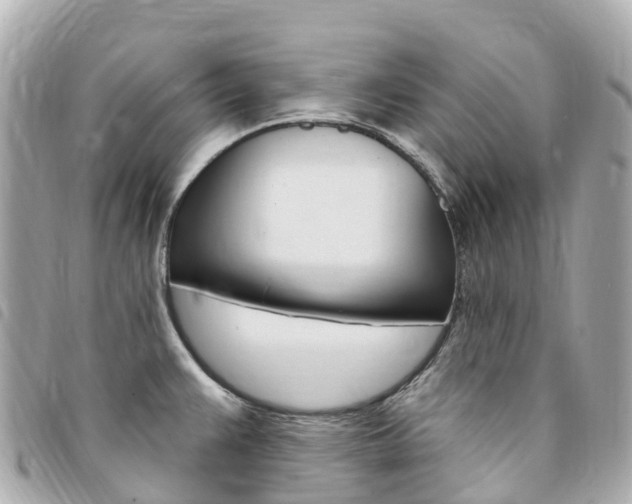 X0000094231383200710261005