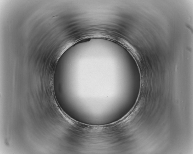 X0000094231385200710261005
