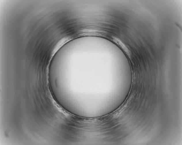X0000094231386200710261005