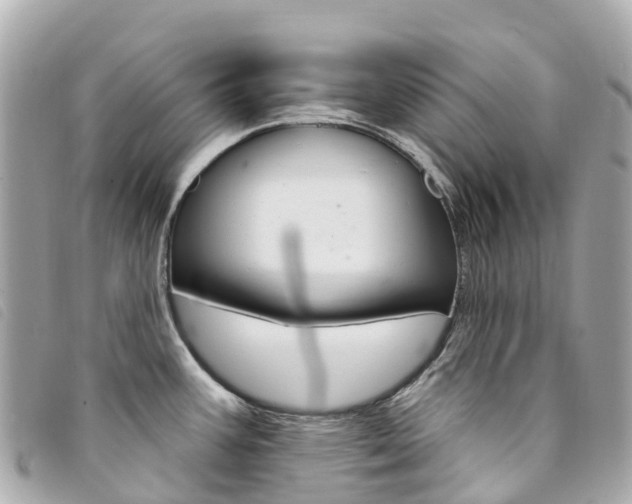 X0000094231387200710261005