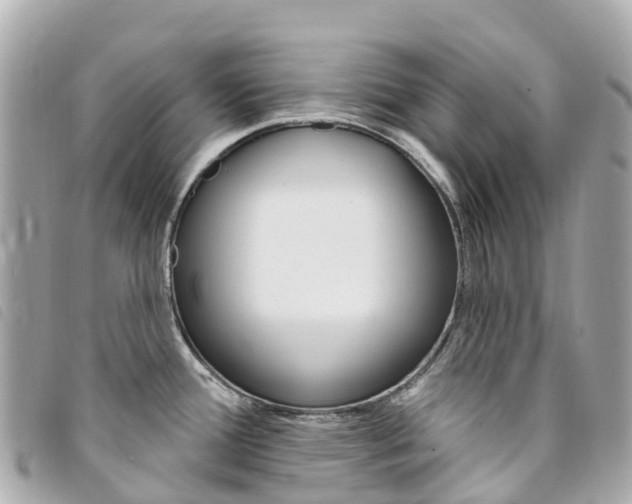 X0000094231388200710261005