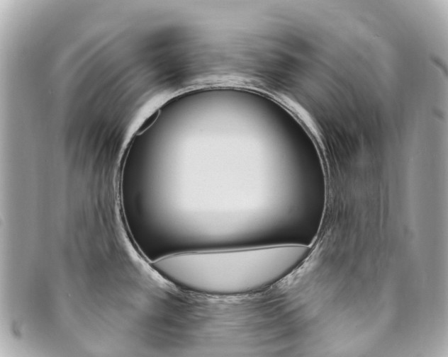 X0000094231389200710261005