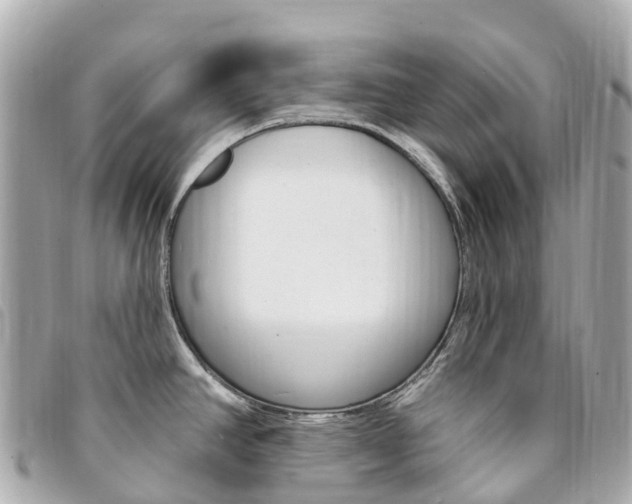 X0000094231390200710261005